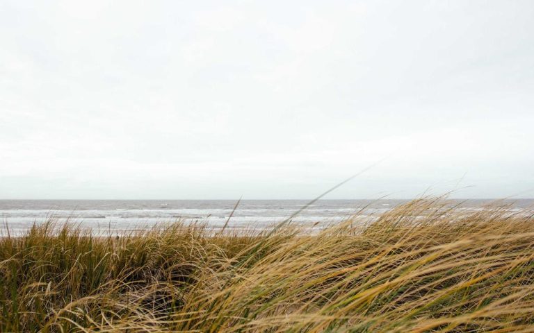 The Art of Living a Quieter Life