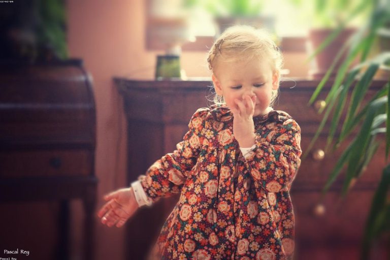 How to Pray the Bible: A Simple Method