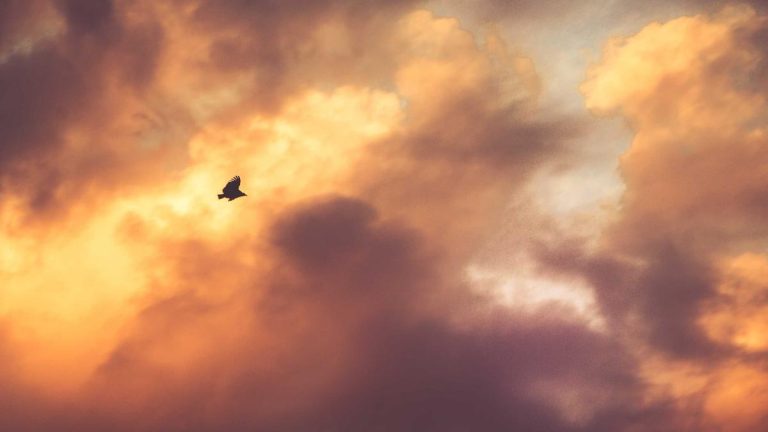 Praying Through Anxiety: A Calm, Practical Guide
