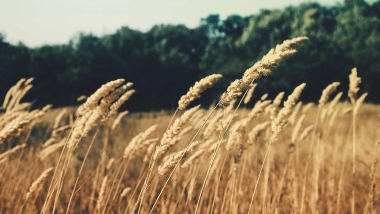 How to Pray When You Feel Nothing