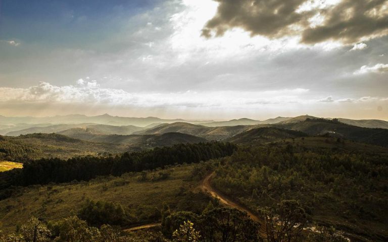 Why Gratitude Belongs at the Heart of Prayer